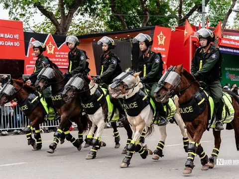 Mãn nhãn màn phô diễn của kỵ binh và cảnh khuyển trên phố đi bộ