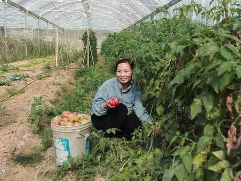 Giá nông sản “chạm đáy”, nông dân xứ Nghệ tự cứu mình nhờ công nghệ