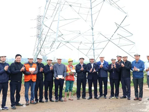 Phấn đấu đưa cụm dự án đường dây 220kV Tương Dương – Đô Lương – Nam Cấm về đích sớm