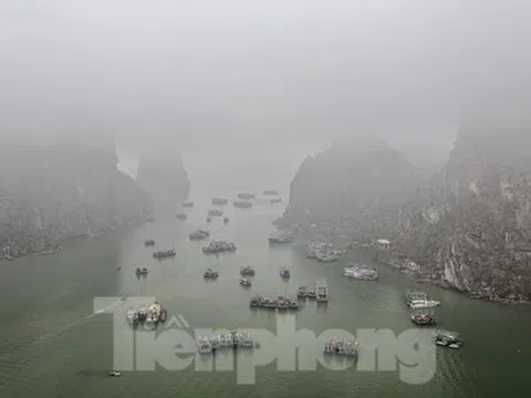 Lạ lẫm hình ảnh thành phố di sản trong sương mù