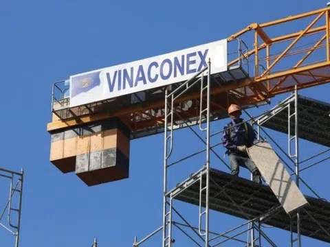 Hai lãnh đạo Vinaconex xin rút khỏi Vimeco trước thềm đại hội cổ đông