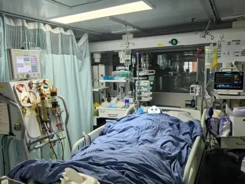 Người đàn ông suy gan, suýt chết sau bữa ăn: Bác sĩ thốt lên “do ăn 1 thứ chứa độc tố cực mạnh”
