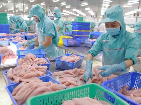 Xuất khẩu thủy sản có dấu hiệu chững lại trước loạt thách thức