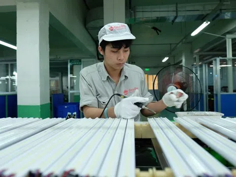 Bóng đèn Rạng Đông hụt nửa lợi nhuận vì 'cơn sóng' hàng Trung Quốc