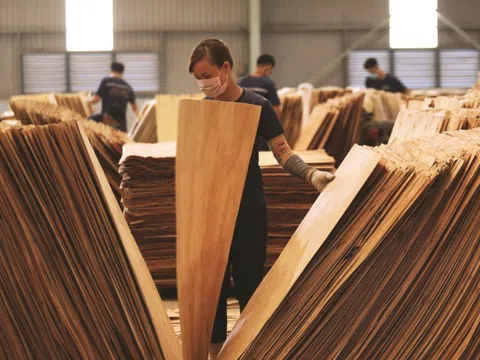 Ngành gỗ Việt trước "cú sốc" thuế Mỹ: Cần một mô hình tăng trưởng mới