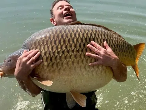 Người đàn ông sốc nặng khi bắt được con cá chép khổng lồ nặng 48kg