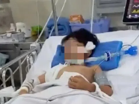Dừng chờ đèn đỏ, bé trai 10 tuổi bị cành cây rơi trúng đầu dẫn tới nguy kịch