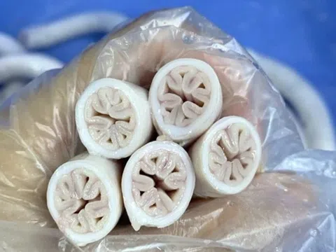 Lòng se điếu giá đắt đỏ tiền triệu có bổ dưỡng hơn lòng non thông thường?