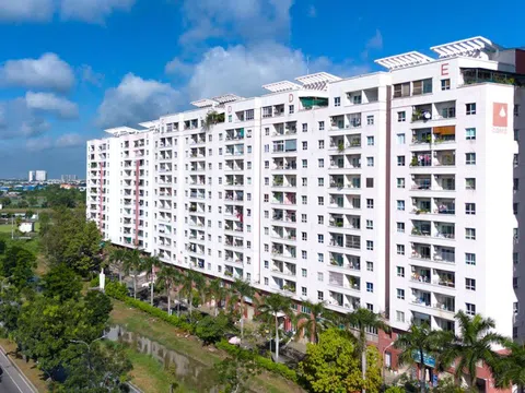 Ban quản trị chung cư ở TP.HCM bị phạt gần 120 tỷ đồng
