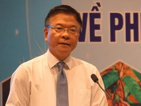 Sâm Ngọc Linh và chiến lược phát triển dược liệu bền vững ở Quảng Nam