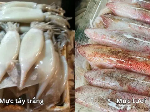 5 loại hải sản dễ "tắm" hóa chất tẩy trắng, đi chợ mà ngố là "dính chưởng" ngay!