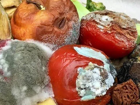 Thực phẩm mốc chỉ cần vứt bỏ hay cắt phần hỏng là vẫn dùng được? Những dấu hiệu nhận biết không phải ai cũng rõ