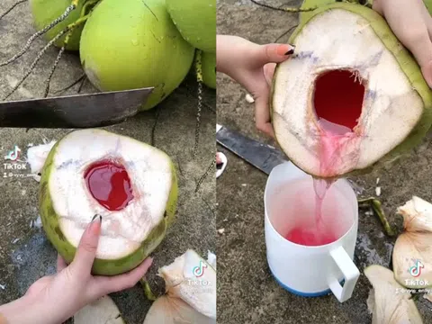Loại quả mùa hè rẻ tiền có mặt khắp Việt Nam, không chỉ giải khát mà còn được ưa chuộng vì mát gan, thải độc