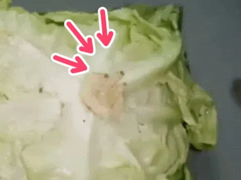 Nếu biết cắm tăm vào cuống xà lách, chắc tôi đã không lãng phí 3 bó rau ngon lành!
