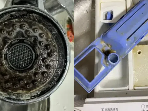 6 vật ngày nào cũng dùng dễ là ổ nấm mốc, bẩn kinh hoàng lại lăm le gây bệnh cho người