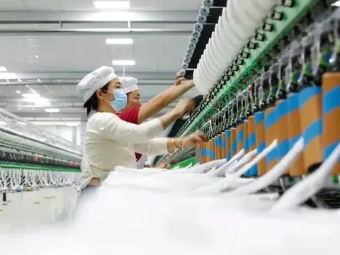 Muôn hình vạn trạng phản ứng của doanh nghiệp Việt trước chính sách thuế quan Mỹ