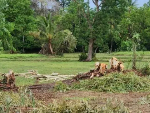 Trú ẩn dưới gốc cây, người phụ nữ mang thai 7 tháng bị sét đánh tử vong