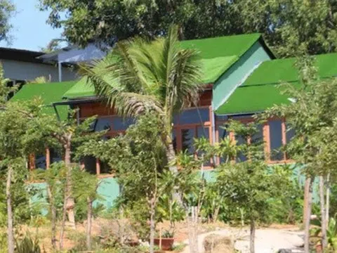 Tạm đình chỉ chức vụ Chủ tịch UBND phường Mũi Né