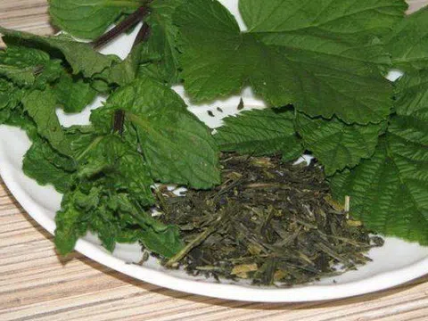 Đừng chỉ ăn quả, lá loại cây này phơi khô quý như "thần dược", bỏ đi quá phí