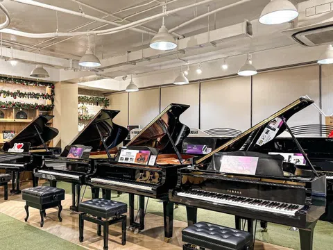 Piano Đức Trí - Một trong những đơn vị dẫn đầu ngành Piano tại Việt Nam
