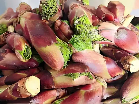 1 loại rau mọc dại ở Việt Nam nhưng được người Trung Quốc “quý như vàng”: Giá ngang thịt bò, bổ tựa nhân sâm nhưng ít người biết
