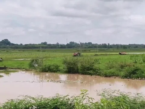 Đang đóng bè cá, 2 người đàn ông bị sét đánh tử vong