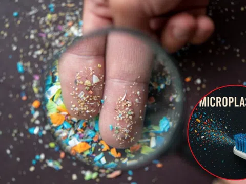 Không ai ngờ: Mỗi năm người Việt nuốt 49.000 hạt vi nhựa từ vật dụng quen thuộc này
