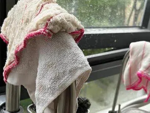 Nói thật: 5 vật dụng nhà bếp nhà nào cũng có là "ổ vi khuẩn" nên vứt ngay
