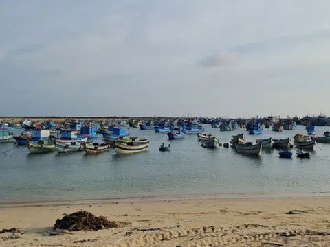 Thuyền trưởng tàu cá tử vong do tai nạn lặn biển
