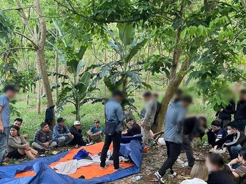 Bắt "ông trùm", phá đường dây đánh bạc tổ chức tinh vi và chuyên nghiệp trong rừng