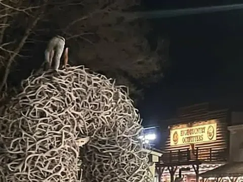 Người đàn ông say xỉn leo vòm gạc nai để "tán gái" bị cảnh sát tóm gọn