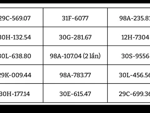 206 chủ xe đi lấn làn có biển số sau cần nhanh chóng nộp phạt nguội theo Nghị định 168