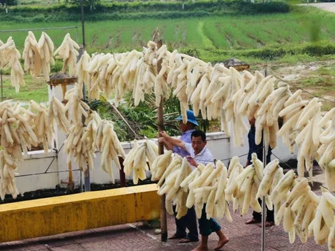 Thứ người Việt từng cho không ai lấy hóa ra là mặt hàng thượng hạng: Xuất 'đi Tây' có doanh thu khó tin