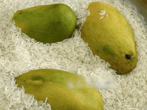 5 "bí mật" của gạo khiến 90% người kinh ngạc: Không ngờ thứ ăn hàng ngày lại "đỉnh chóp" như thế!