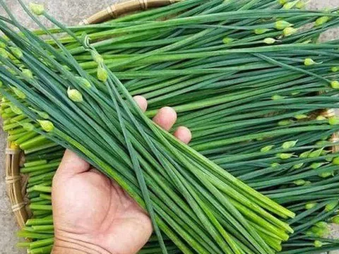 8 loại rau yên tâm mua ở chợ, không lo thuốc trừ sâu