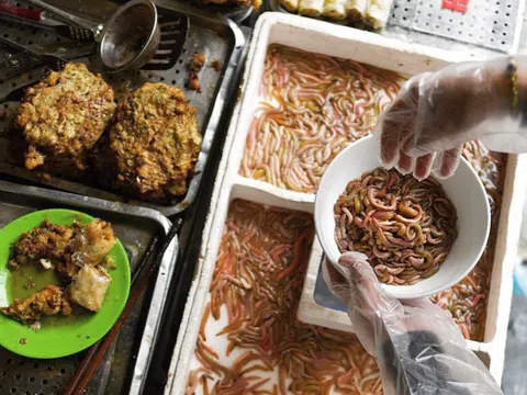 5 đặc sản Việt Nam khiến người "yếu vía" nghe thôi đã sợ: Món thì tên gây hiểu lầm, món lại khiến thực khách rùng mình vì nguyên liệu