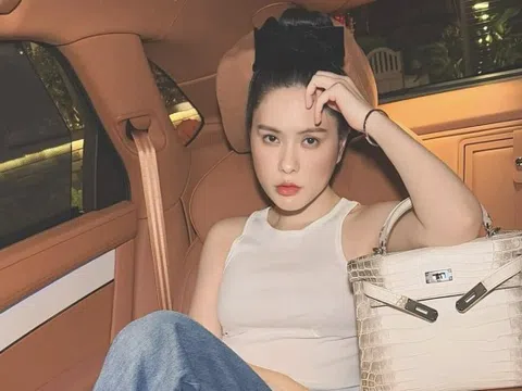 Loạt bằng chứng chống lại Đoàn Di Băng