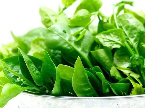 "4 không" khi ăn rau mồng tơi, biết mà tránh kẻo hối hận