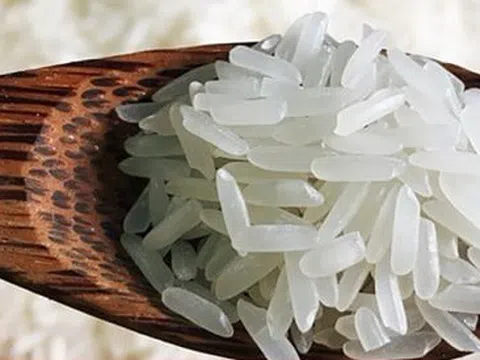 Cách nhận biết gạo ST25 thật