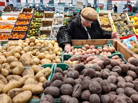 Loại củ người Nga ví như ‘vua rau củ’, giá bỗng tăng chóng mặt: Việt Nam có đầy, dùng làm thuốc từ lâu