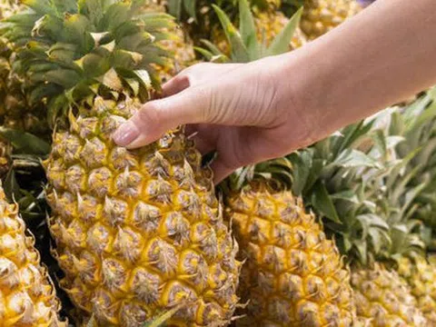 Dứa vào mùa, dùng AI chọn quả ngon ngọt chưa chắc đã đúng, nhưng nghe lời mách này của chuyên gia thì chỉ có "chuẩn"!