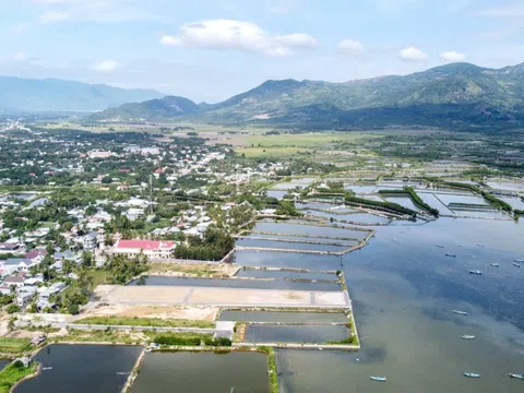 5 công ty trúng thầu 'siêu đô thị' gần 10 tỷ USD ở Khánh Hòa