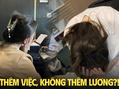 Mắc kẹt với mức lương 15 triệu, việc ngày càng nhiều nhưng lương thì đứng yên: Tôi có đang đòi hỏi quá nhiều?