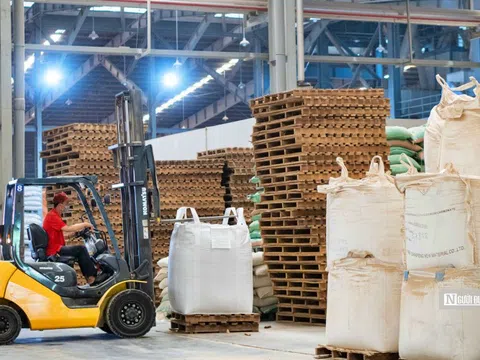 Mỗi tháng, có hơn 22.300 doanh nghiệp rời khỏi thị trường
