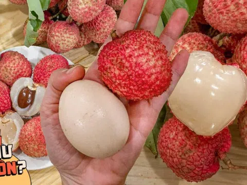 Bỏ 1,2 triệu để mua 5kg vải trứng: Kích thước "khủng" thật nhưng hương vị thế nào?
