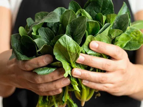 Mỹ đánh giá "rau tốt nhất thế giới", hóa ra là rau quen thuộc có bán ở Việt Nam