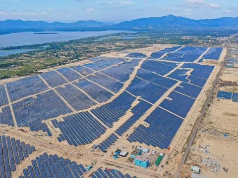 Bamboo Capital có sếp mới 30 tuổi