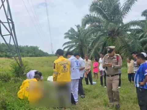 Trèo lên tháp truyền tải điện cao thế, nam thanh niên bị điện giật tử vong
