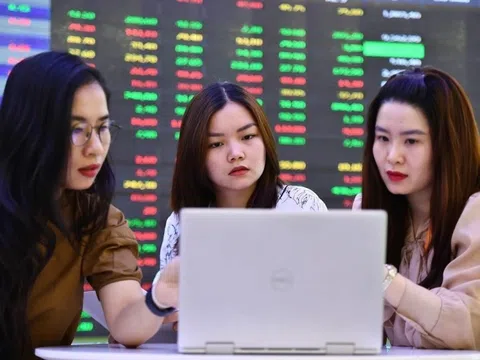 Cổ phiếu 'họ Vin' lao dốc ngược dòng thị trường