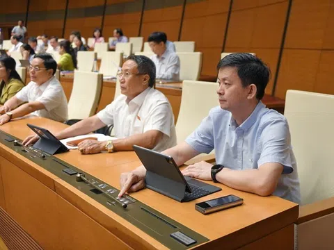 Công ty con không được hưởng thuế ưu đãi thu nhập doanh nghiệp